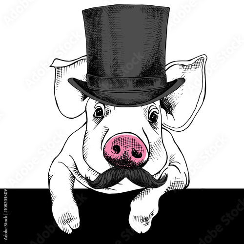 The image pig portrait with mustache and in the bowler hat. Vector illustration.