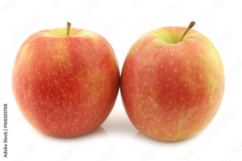 fresh sweet small apples on a white background fresh sweet small apples on a white background