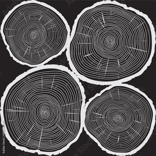 Vector Trunk and rings of Tree. Black Illustration and Backgroun