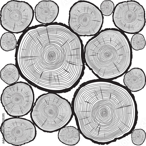 Vector Trunk and rings of Tree. Black Illustration and Backgroun