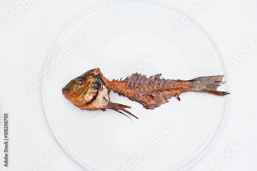 Smoked Fish Bone on a White Plate