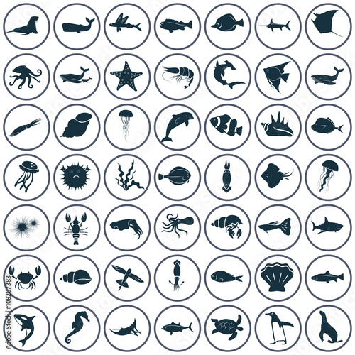 Set of forty nine sea animals icon
