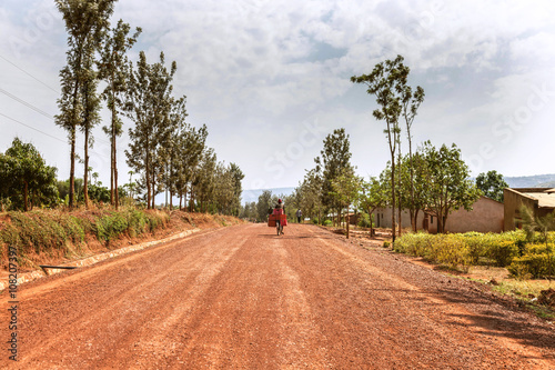 Kızıl Afrika toprağında bisiklet süren adam. Ağaç yolun ortasında ve uzaklaşmaya başlıyor. Ağaçlı yol perspektif oluşturuyor. 
 photo