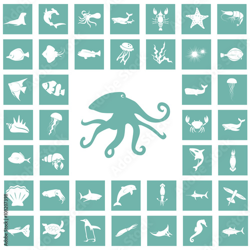 Set of forty sea animals icon