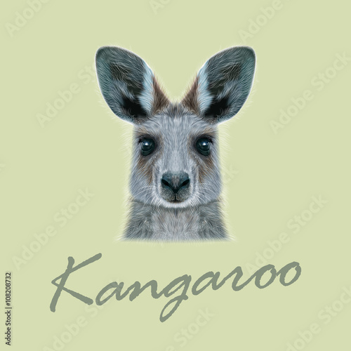 Vector Illustrated portrait of Kangaroo.