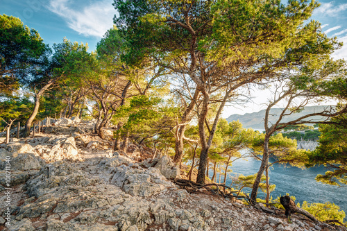 Fototapeta Beautiful nature of Calanques on the azure coast of France. Cala
