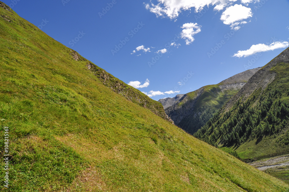 Steile Bergwiesen, Blick Richtung Samnauen, im Hintergrund Gipfel der Samnauen-Gruppe