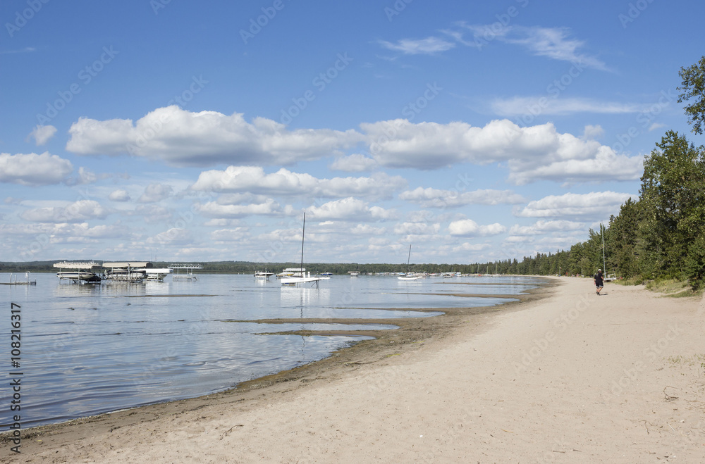 horizontal image of a fleet of boats and ships floating in the lake next to a sandy beach under a beautiful blue sky with cloud on a warm summer day.
