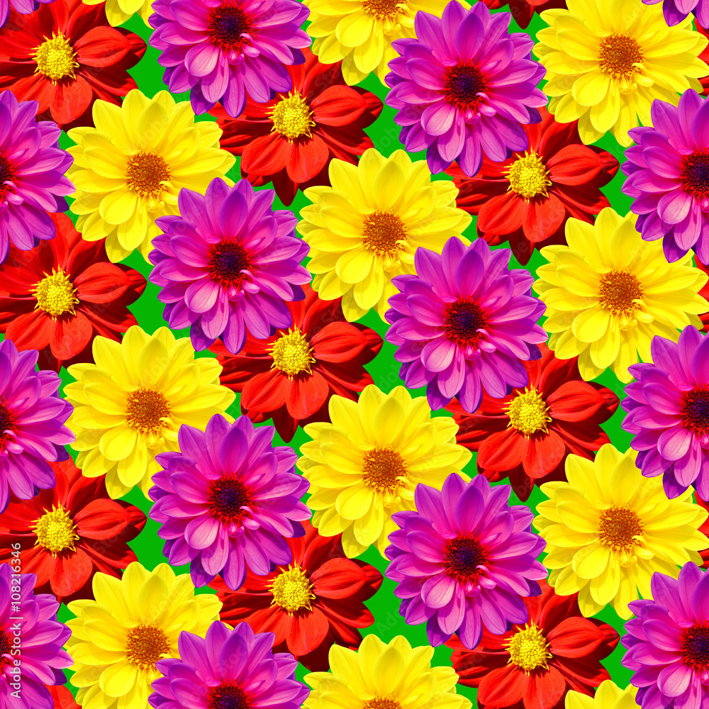 Dahlia Dahlietta mixed colours seamless pattern Dahlia Dahlietta mixed colours seamless pattern