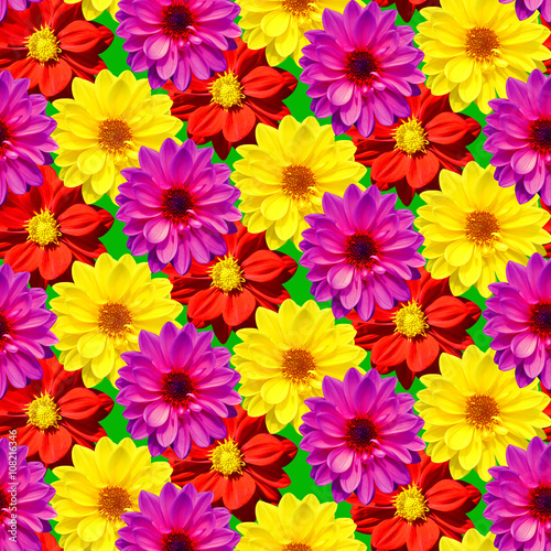 Dahlia Dahlietta mixed colours seamless pattern