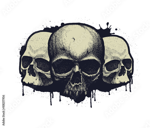 Black and white human skull