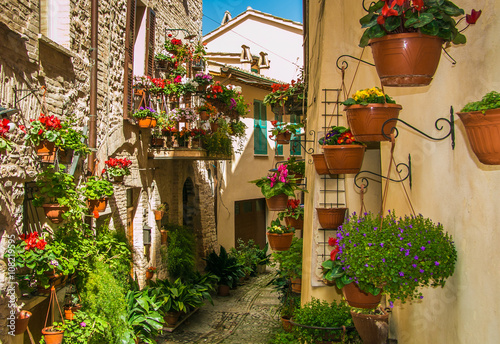 Spello: il borgo dei fiori