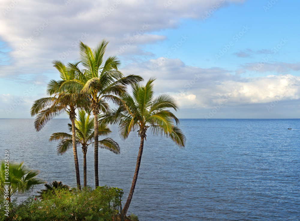 View to the ocean. View to the ocean.