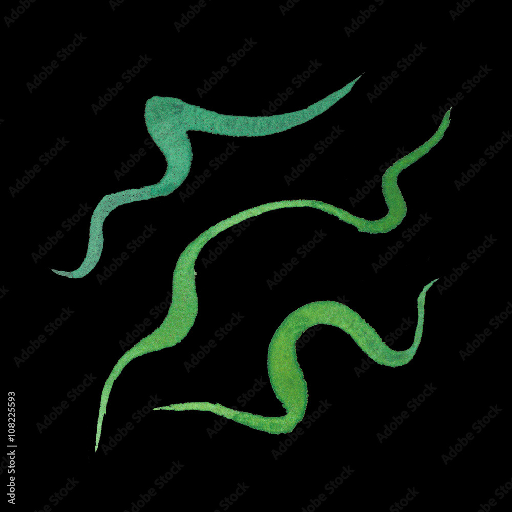 Fototapeta premium Watercolor objects