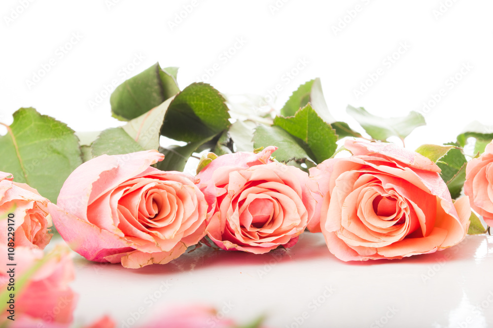 rosen rosen