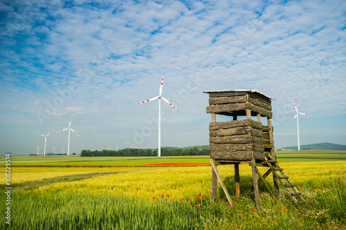 Windmills in the field2 photo