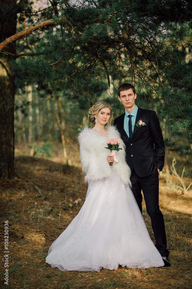 Bride and groom in a park kissing.couple newlyweds bride and groom at a wedding in nature green forest are kissing photo portrait.Wedding Couple