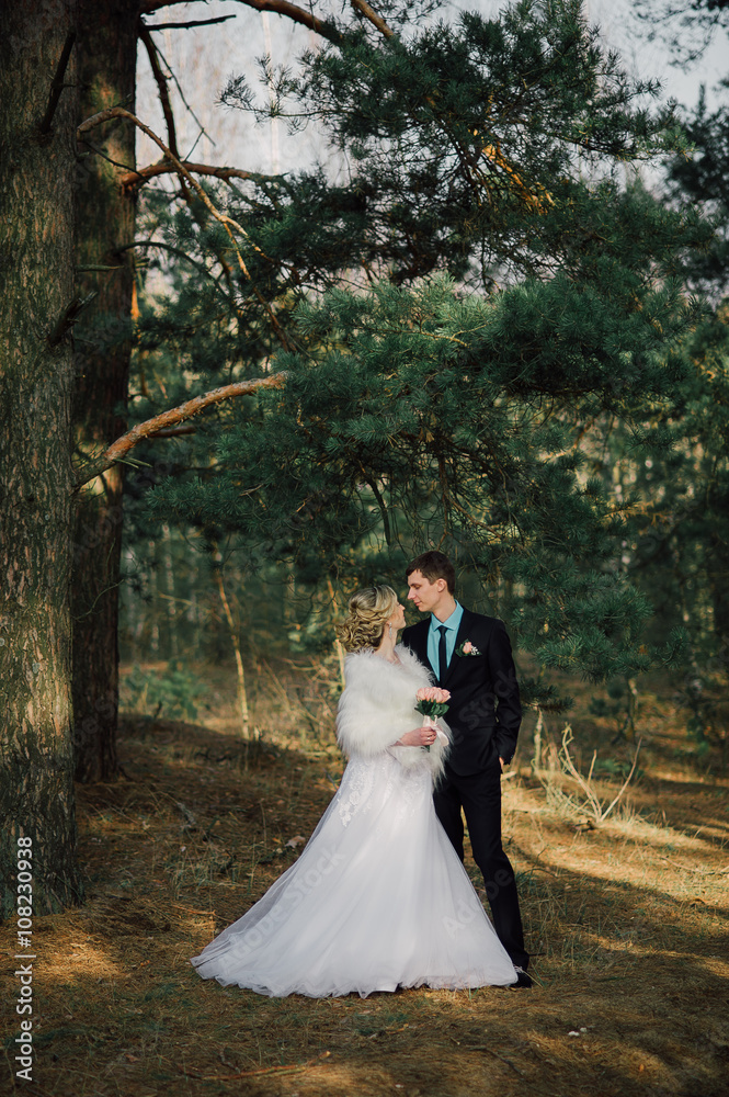 Bride and groom in a park kissing.couple newlyweds bride and groom at a wedding in nature green forest are kissing photo portrait.Wedding Couple Bride and groom in a park kissing.couple newlyweds bride and groom at a wedding in nature green forest are kissing photo portrait.Wedding Couple