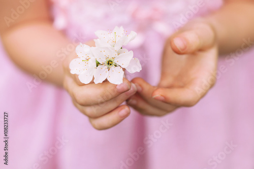 hands of the girl and spring flower close up. spring background.