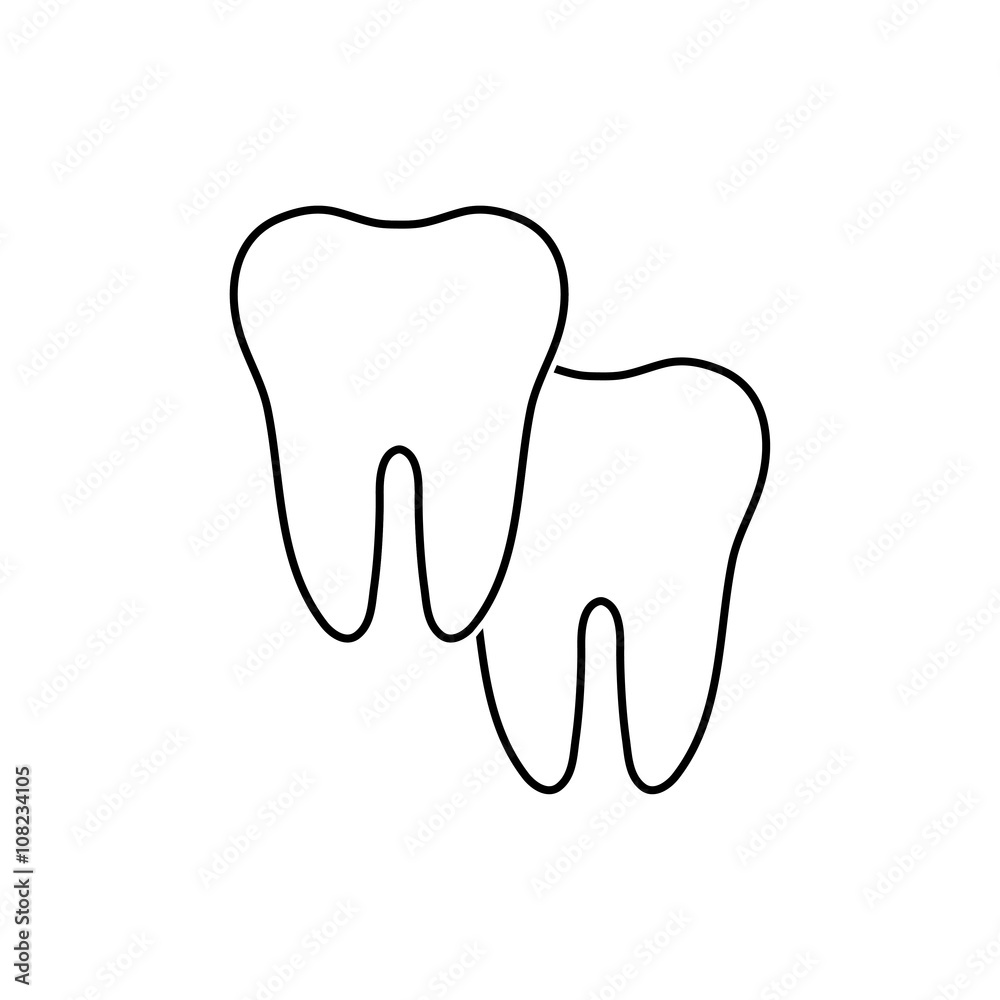Set of two teeth, vector illustration Set of two teeth, vector illustration