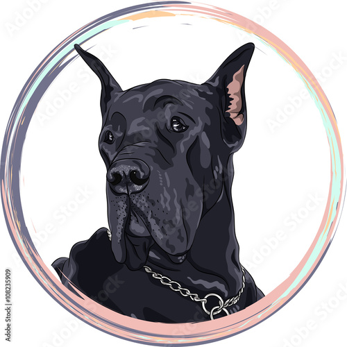 Portrait black dog. Dog Great Dane breed in the round frame. T-shirt Graphics. Dog print.