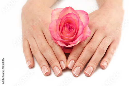 Woman hands with beautiful rose on white background, close up