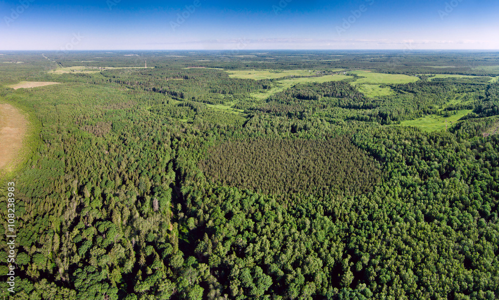 The endless green forests with a bird's-eye view.
