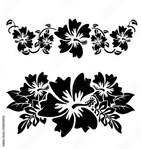 Hawaiian Hibiscus flowers