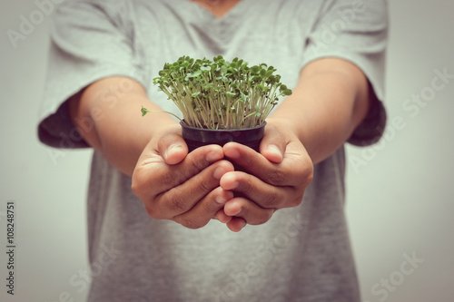 hands holding young plant with filter effect retro vintage style