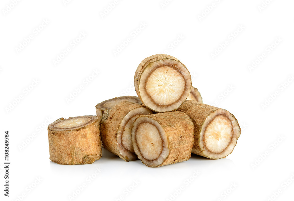 Burdock roots isolated on the white background Burdock roots isolated on the white background
