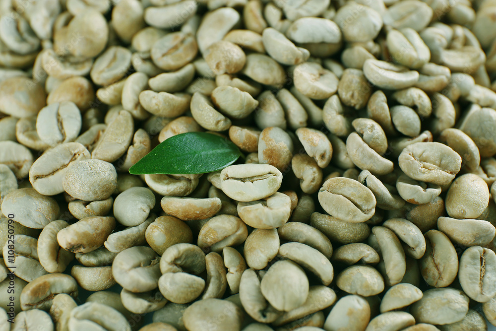 Green coffee beans with green leaf, close up Green coffee beans with green leaf, close up