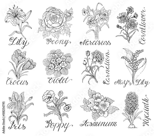 Set with hand drawn flowers and calligraphy text
