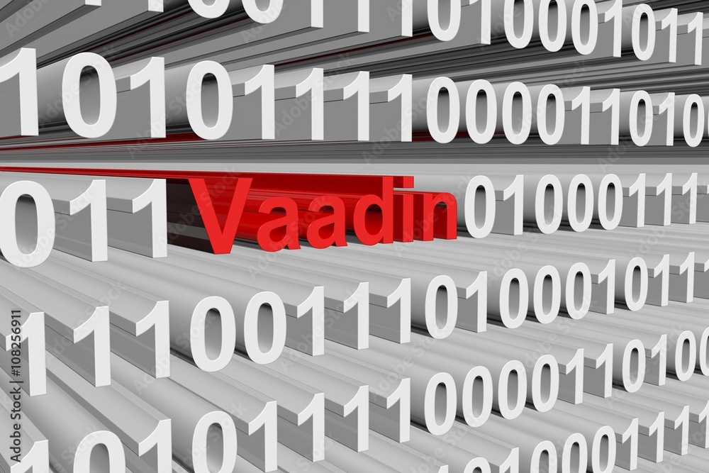 Vaadin in the form of binary code, 3D illustration