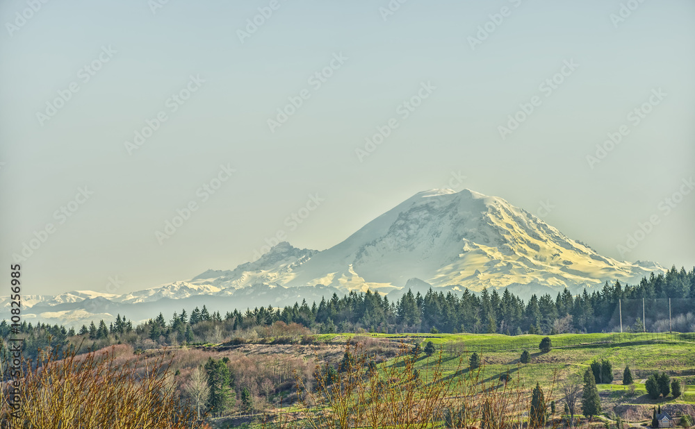 Fototapeta premium The Clear Blue Skies of Early Spring Bathe Mount Rainier and surrounding Landscape