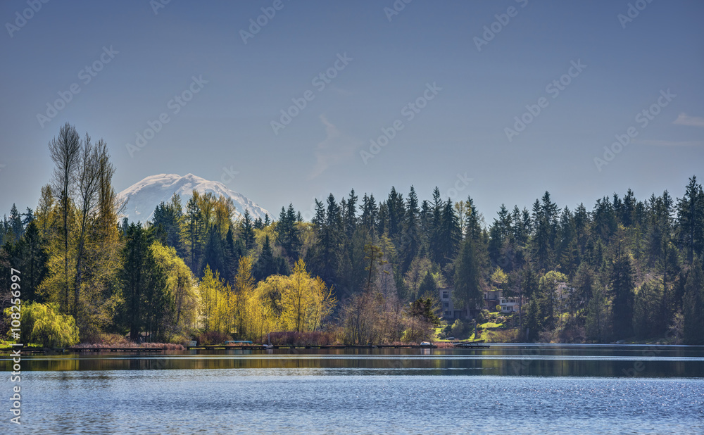 Fototapeta Mount Rainier Hides beneath the Early Spring Foliage and Lakes of the Pacific Northwest