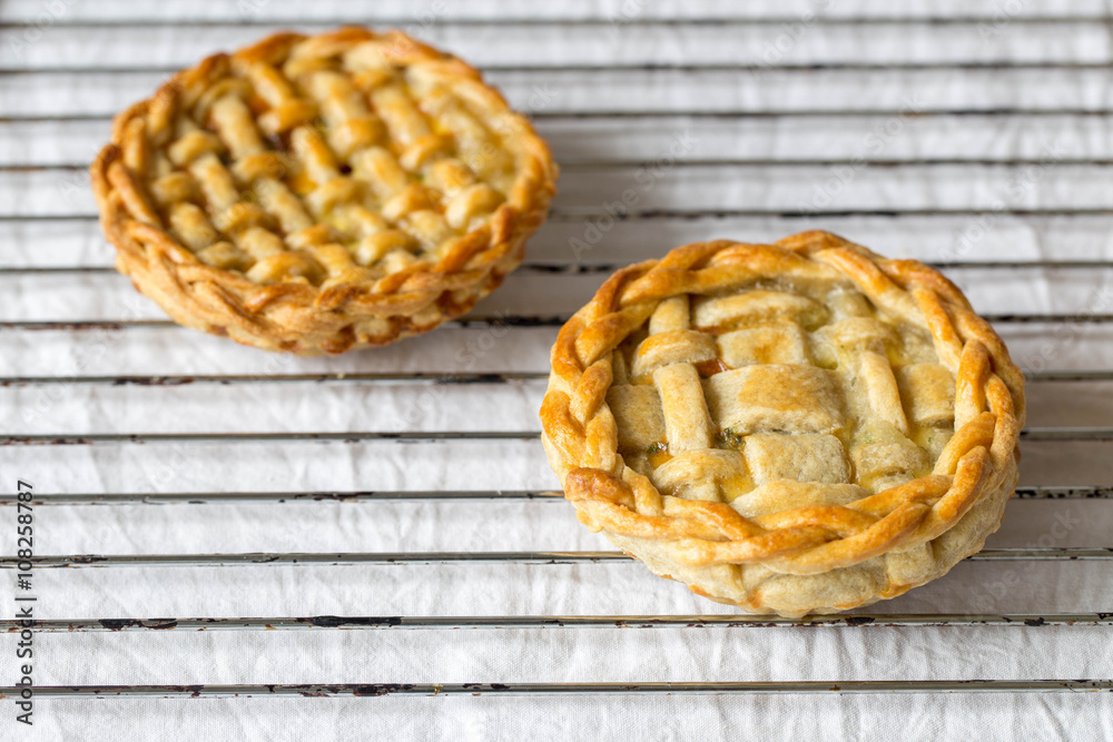 fresh baked mozzarella cheese and cherry tomatoes pie with a lattice crust fresh baked mozzarella cheese and cherry tomatoes pie with a lattice crust