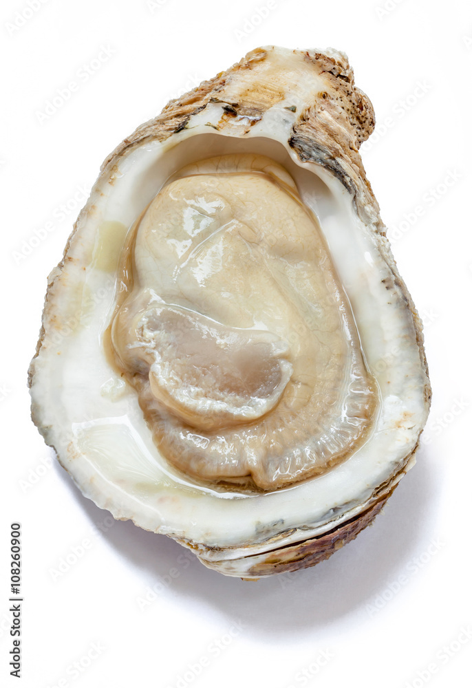 Top view of raw fresh oyster from the sea, prepare to served. Top view of raw fresh oyster from the sea, prepare to served.