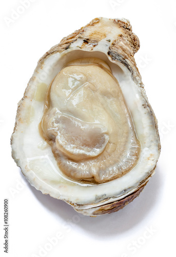 Top view of raw fresh oyster from the sea, prepare to served.
