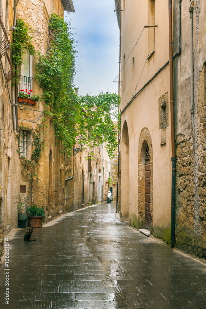 Old streets of greenery a medieval Tuscan town
