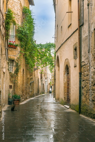 Fototapeta Naklejka Na Ścianę i Meble -  Old streets of greenery a medieval Tuscan town
