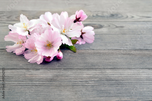Fototapeta Naklejka Na Ścianę i Meble -  Cherry blossom on old wood, wooden background  with flowers.