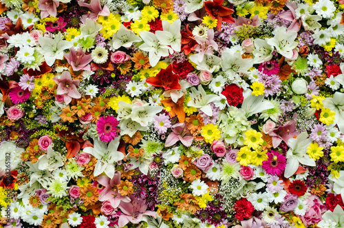 Fototapeta Naklejka Na Ścianę i Meble -  wall of colorful flowers