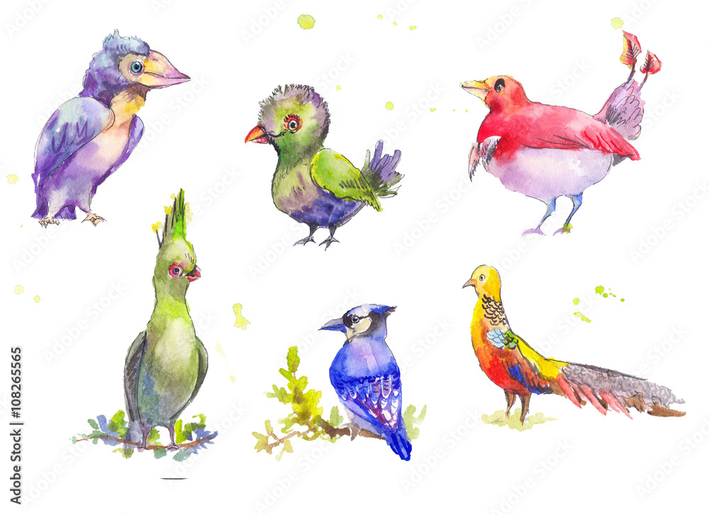 Fantastic birds watercolor set. Tropical fantastic set of multic