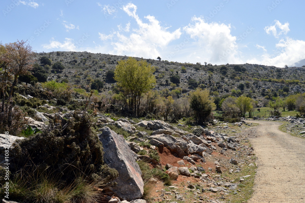 A path of mountain on the island of crète in Greece.