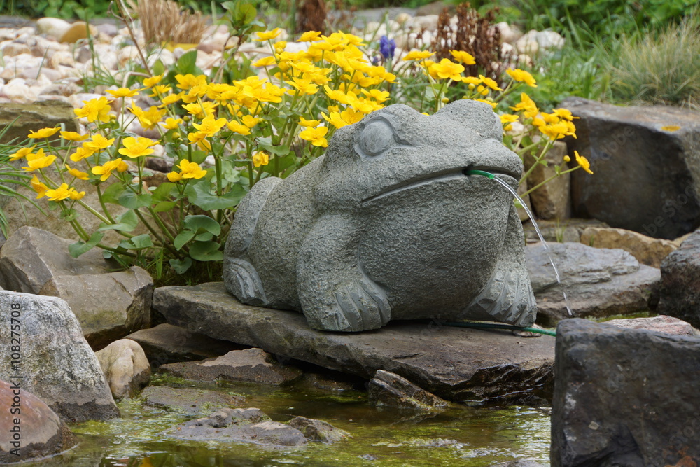 wasserspeiernder Frosch am Gartenteich