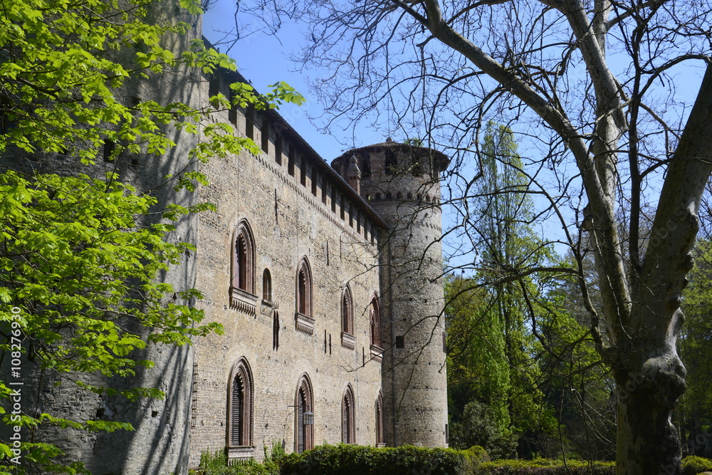 Fototapeta premium Scorcio del Castello