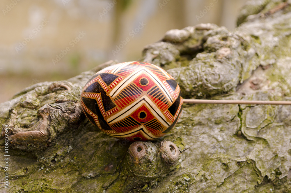 Easter concept. Colorful Easter eggs on the tree bark Easter concept. Colorful Easter eggs on the tree bark
