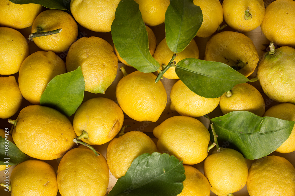 Lemons with leaves and stems