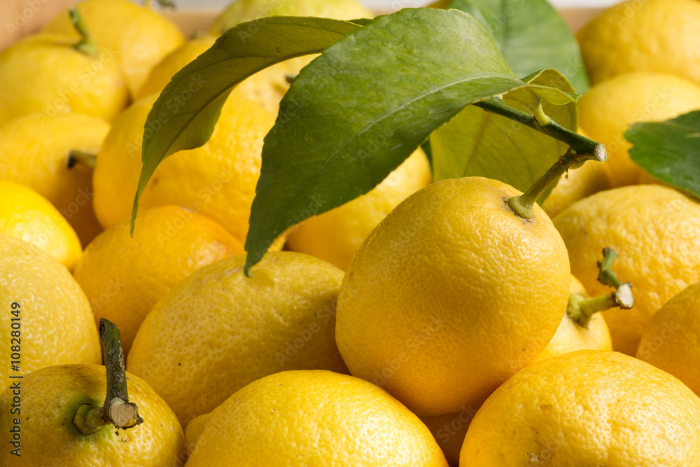 Lemons with center lemon