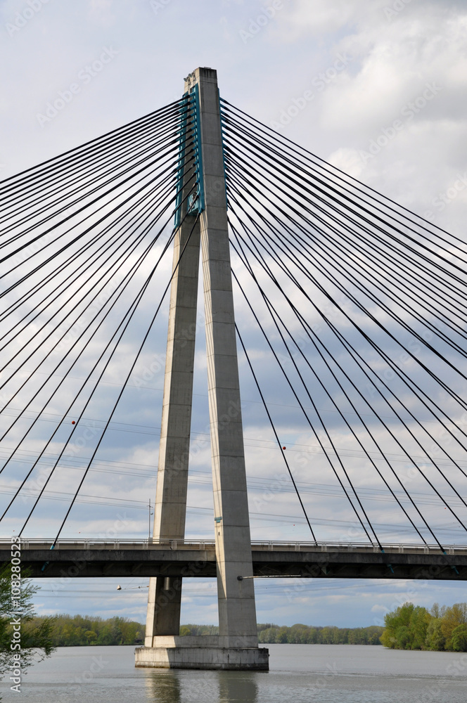 Fototapeta premium Rose Bridge Tulln